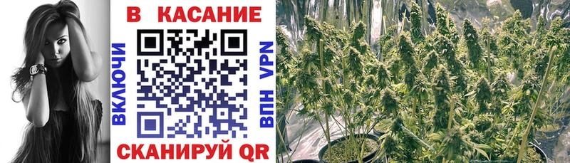 Виды наркоты Покачи Кокаин  Галлюциногенные грибы  Конопля  А ПВП 