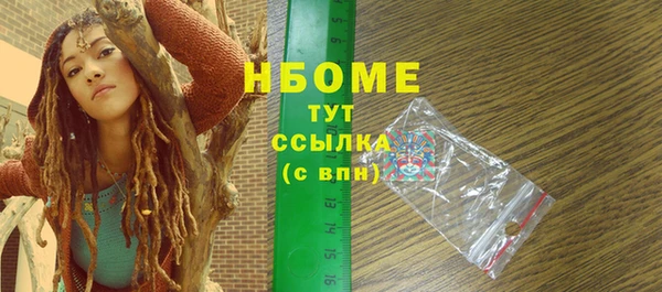 гашик Михайлов