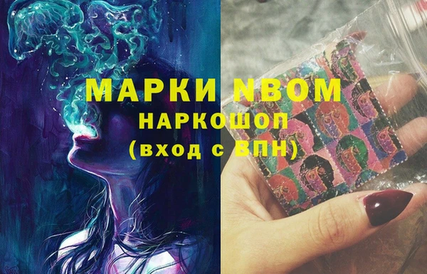 гашик Михайлов