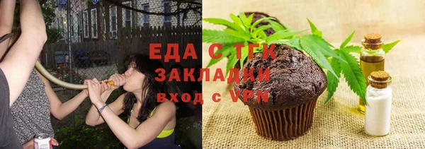 гидра Михайловка