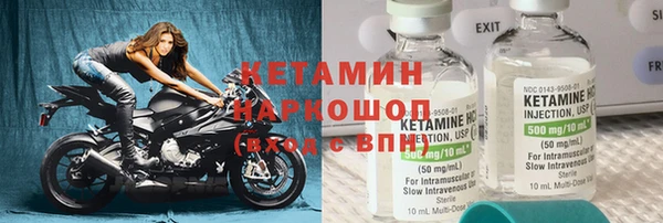 гидра Михайловка