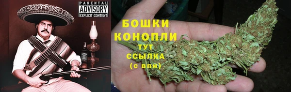 гидра Михайловка