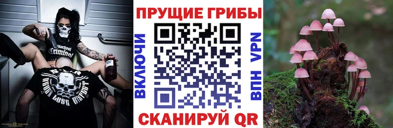 Псилоцибиновые грибы мухоморы  закладки  Покачи 